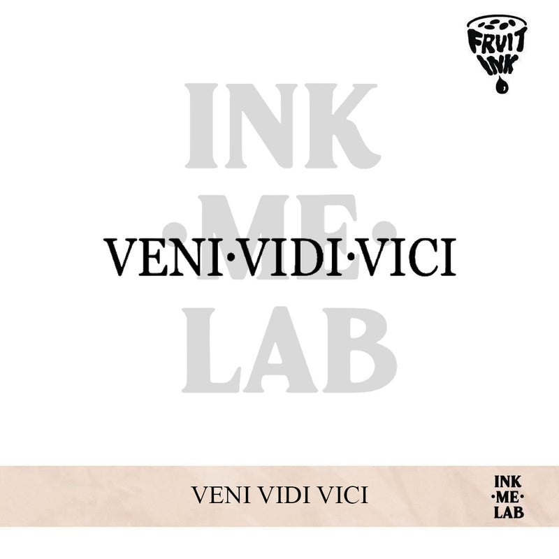 VENI VIDI VICI | 4 X 8 cm